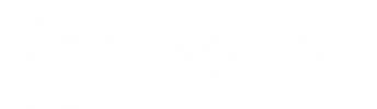 Greenville Synthetic Lawns