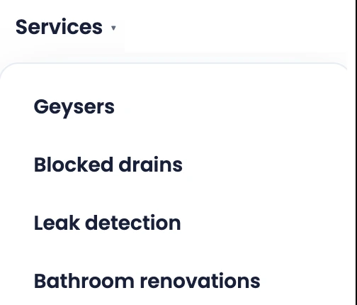 A website navigation menu with a Services dropdown listing geysers, blocked drains, leak detection and bathroom renovations